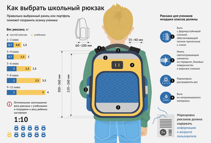 В преддверии нового учебного года Территориальный отдел Управления Роспотребнадзора по Кировской области в Вятскополянском районе направляет рекомендации по выбору школьного рюкзака (ранца)..